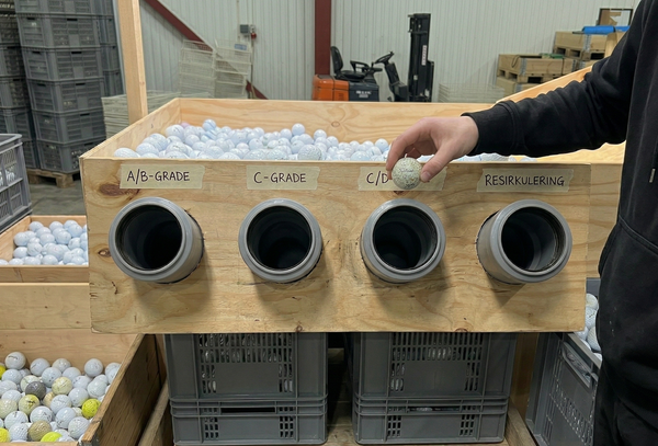 Sortering og gradering